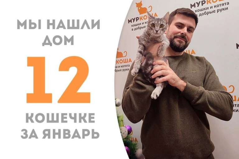 Барберри становится домашней!