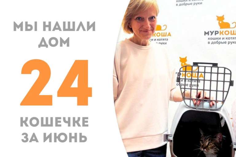 Сенсация! Прекрасная полосатушка Беата стала домашней!