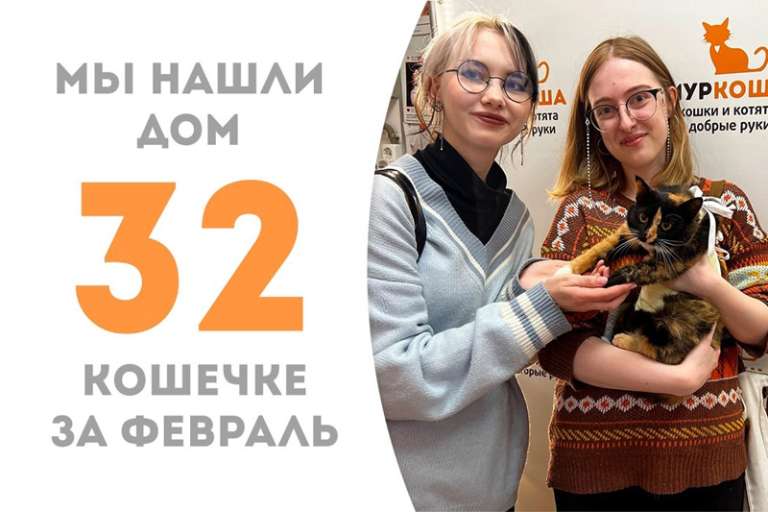 Стремительное укотовление — всего за 2 недели Боча стала домашней!