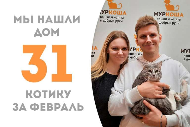 Всего 2 месяца ушло на поиск семьи для Бригадира!