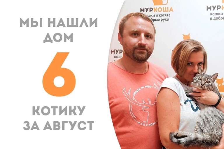 Чуть меньше двух месяцев понадобилось Брикету, чтобы найти свою семью!