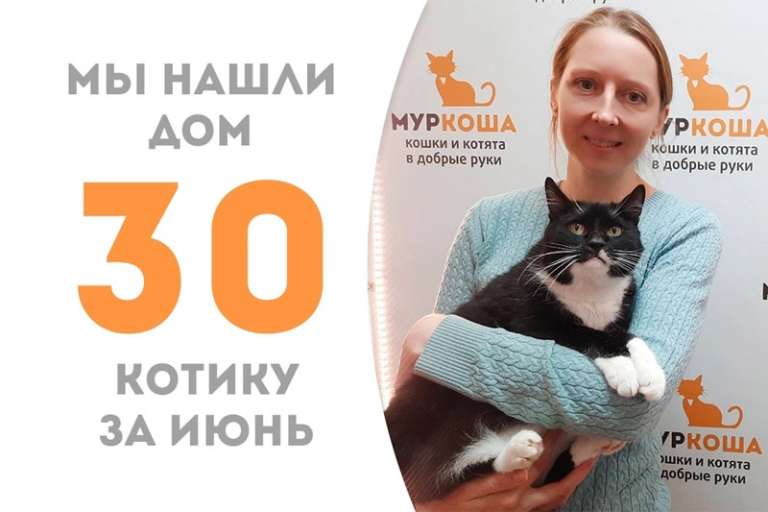 Бублик обретает дом и уезжает к Люцию!
