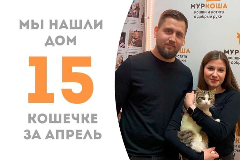 Не прошло и пары недель, а Дисканта уже едет домой!