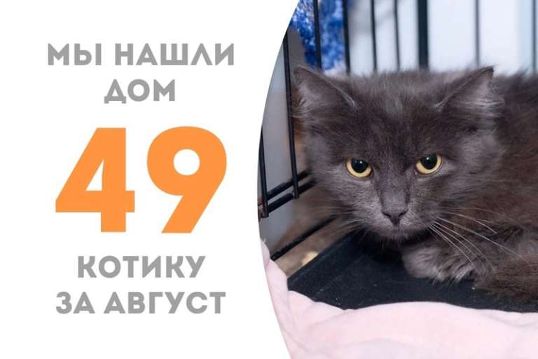 Пушистый лучик Джарвис познакомился со своей новой семьей!