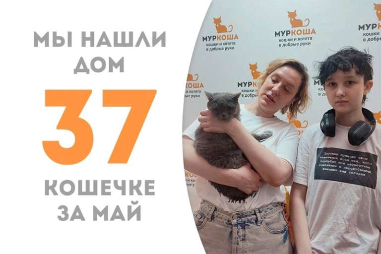 Джемис обрела свою семью!