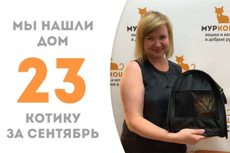 Полосатик Джим обрел дом!