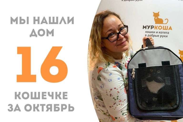 Эфриса нашла любящий дом!