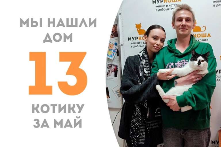 Не прошло и пары недель с возвращения, а Фарамир уже вновь уезжает домой!
