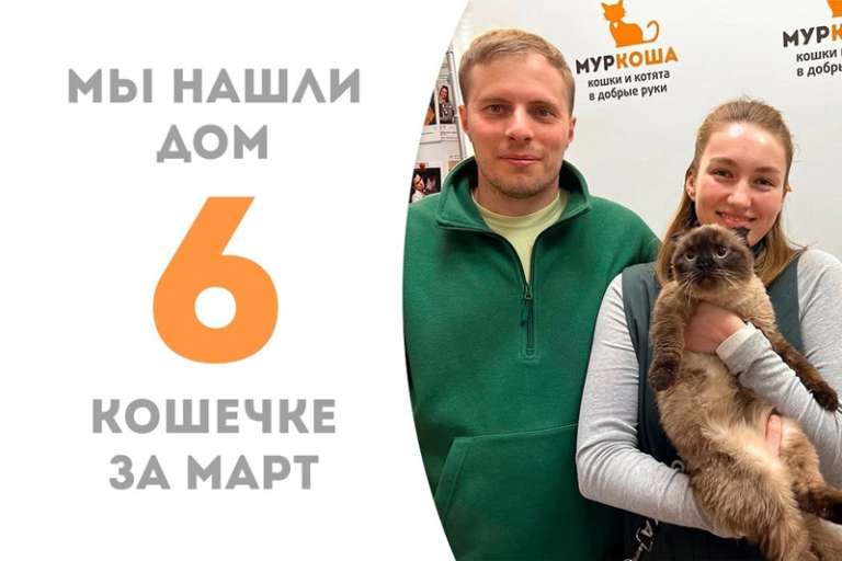 Нежнейшая Фума уезжает к Филимону!
