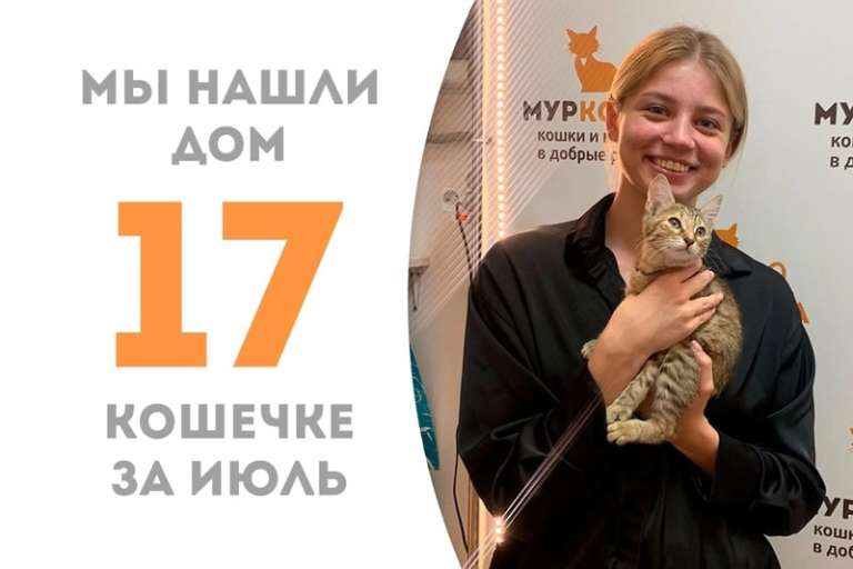 Меньше недели понадобилось Интраде, чтобы стать домашней!