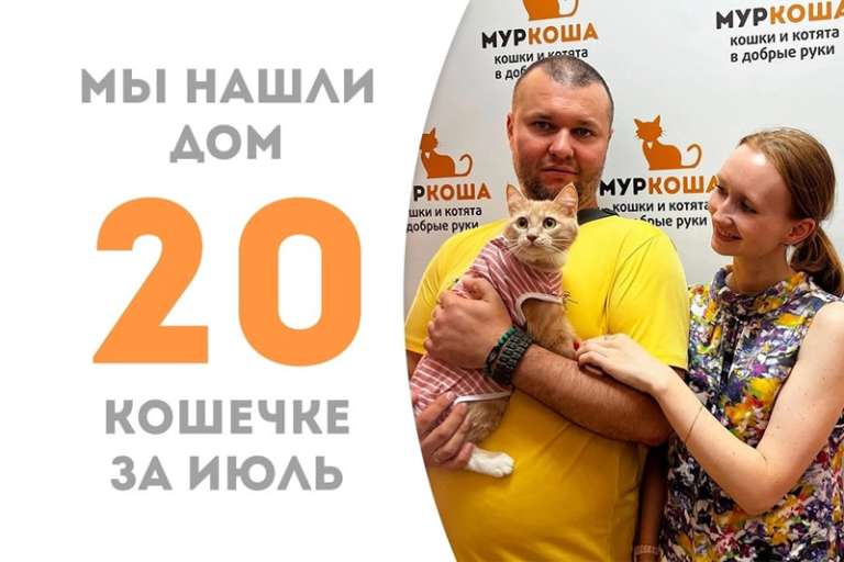 Иоанна обретает домашнее счастье!