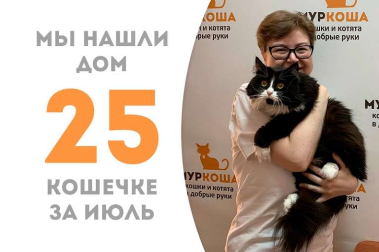 Прекрасная Кисадилья стала домашней!