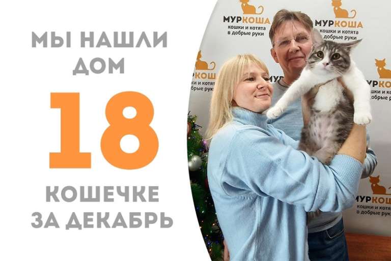 Семимесячная Клязьма нашла любящего хозяина!