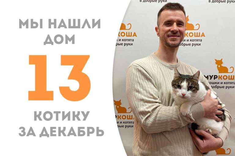 Очаровательный Котосон обрел свою семью!