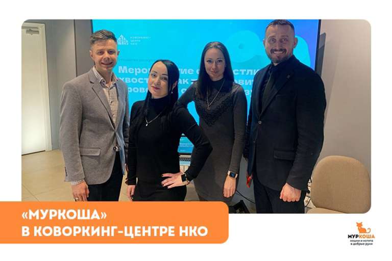 "Муркоша" в Коворкинг-центре НКО