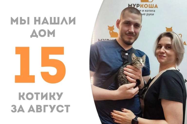 Кушачок становится домашним меньше, чем за один месяц!