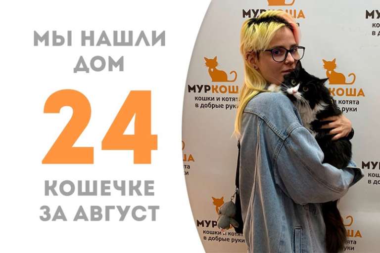 Несравненная Кварта отправилась домой!