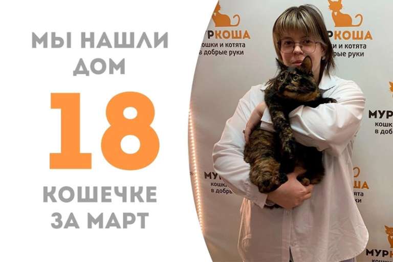 Ламера вновь домашняя!