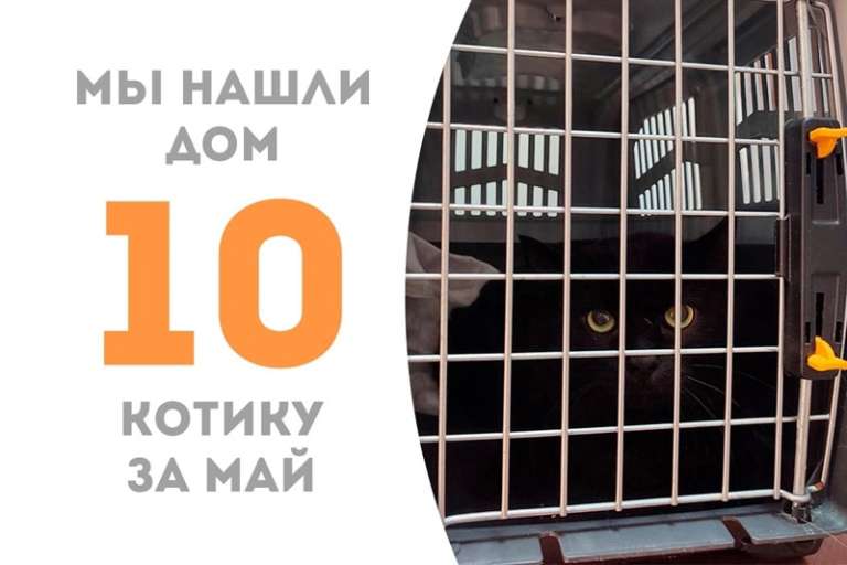 Леброн совершает успешный трехочковый бросок – и становится домашним!