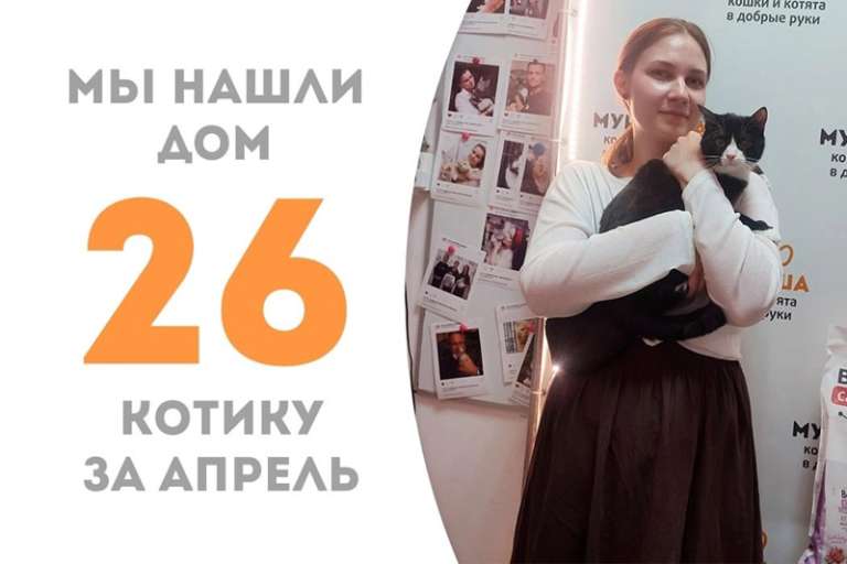 Лонжерон становится домашним!