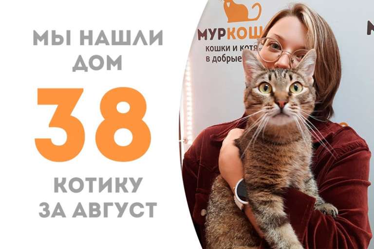 Сладусечка Мафин нашел свою семью!