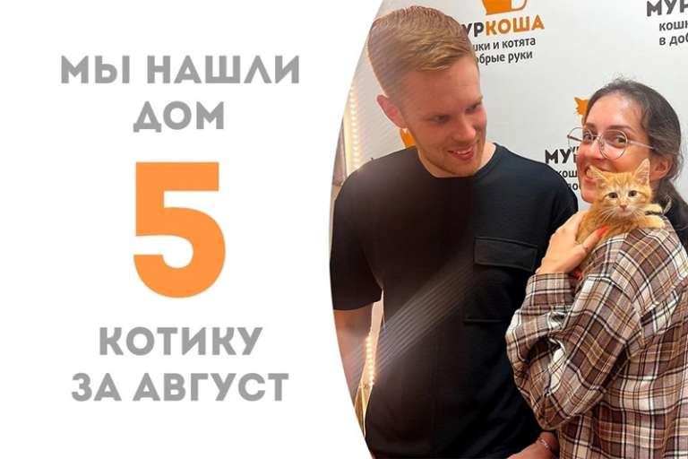 Маячок становится домашним меньше, чем за один месяц!