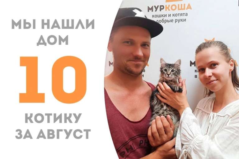Меньше месяца понадобилось Мэшу, чтобы найти себе семью, где уже живет наша выпускница Колумбия!