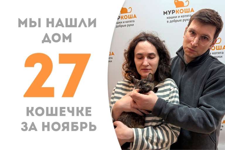 Лапочка Мияби обрела дом за полторы недели!