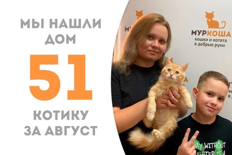 Рыжик Мультяша становится домашним спустя 2 месяца!