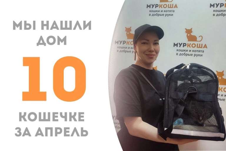 Нармин обзавелась семьёй, где уже живут два наших чудесных выпускника – Мистер Блэк и Братислав!