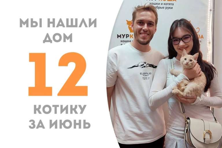 Меньше двух месяцев пробыл у нас солнечный Палермо и уже успел собраться домой, где счастливо живет наша выпускница кошечка Гина!