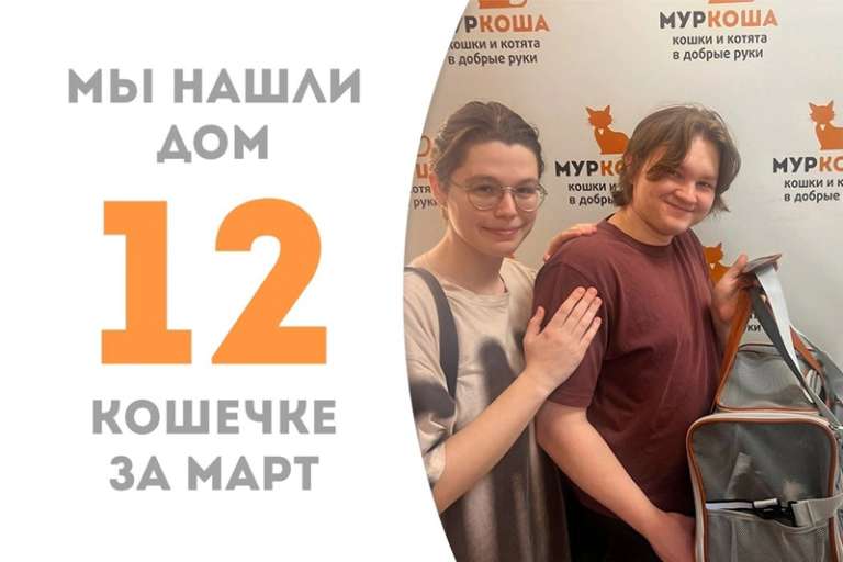 Пушистой Пумори понадобился всего лишь месяц, чтобы найти семью!