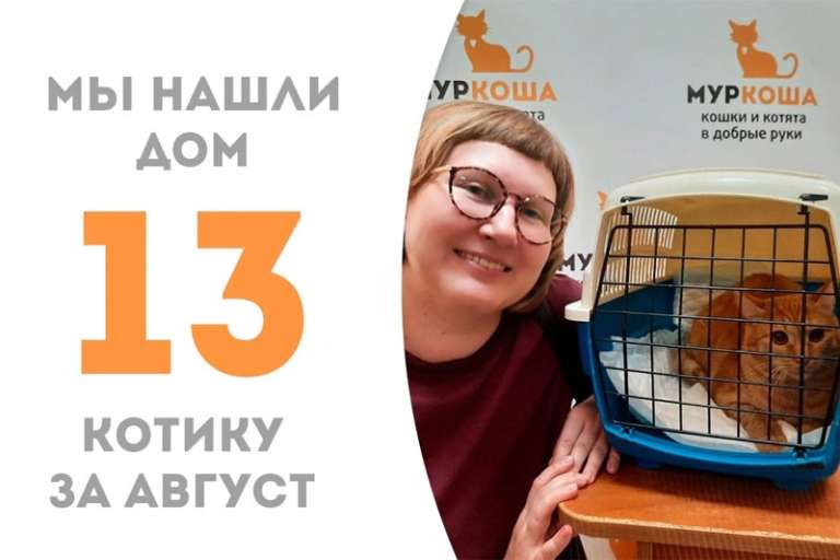 Рыжее солнышко Репкин встречает добрую хозяйку!