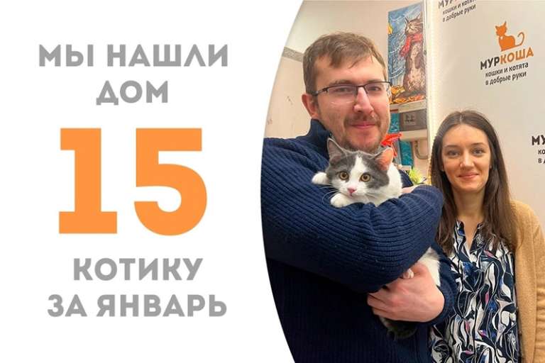 Меньше чем за два месяца малыш Рони нашёл себе семью!