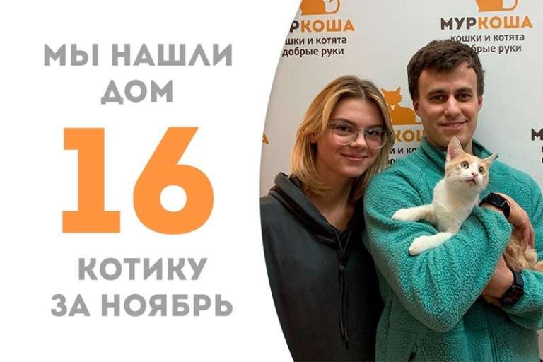 Непоседа Салютик обрел дом за 2 месяца!