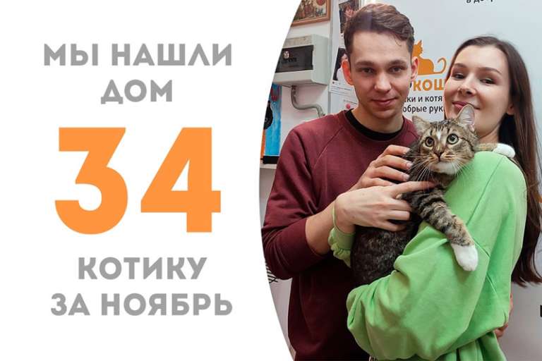 Дружелюбный Сарго обрел дом!