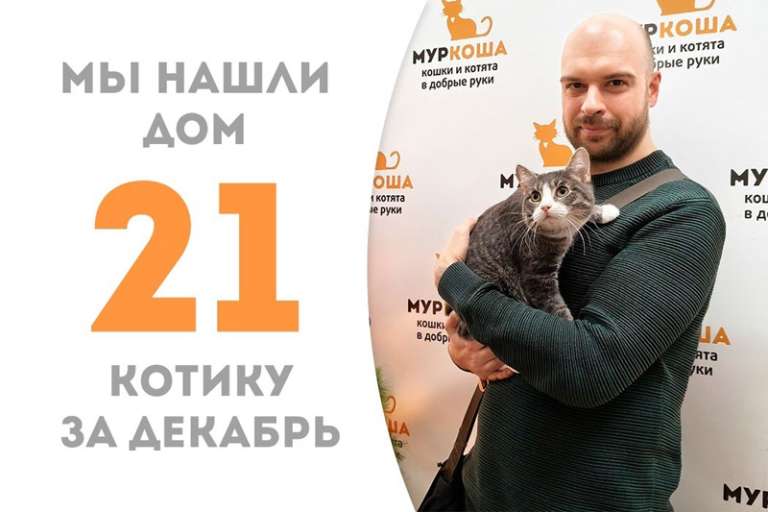 Пушистый Серый Ёж стал домашним всего за два месяца!