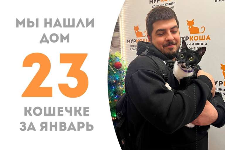 Шай-Ли становится самой стильной счастливицей!