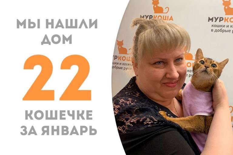 Меньше месяца Сигма искала свою семью!