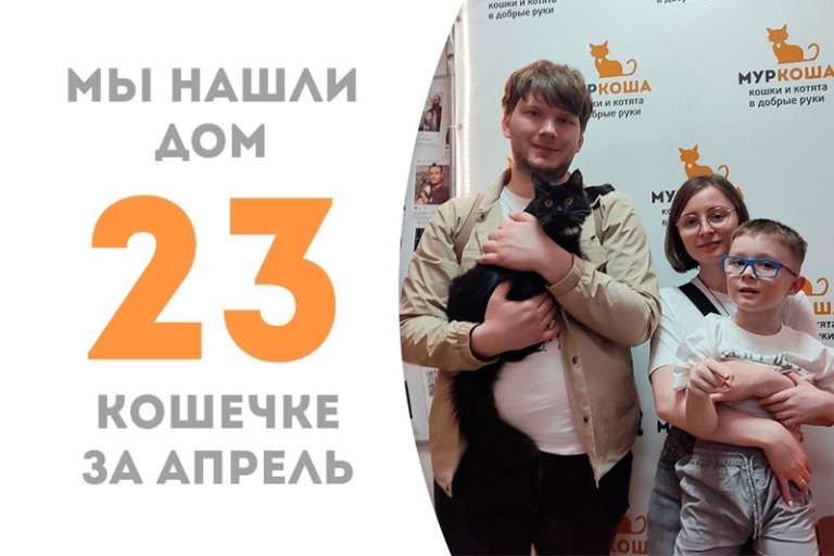 Меньше чем за три месяца красавица Смородина становится домашней!
