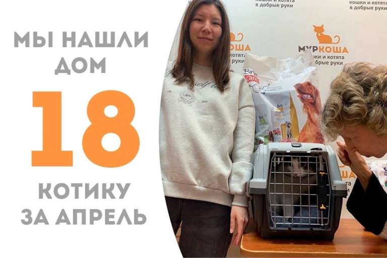 Снеговик уезжает в семью к нашей выпускнице Живанши!