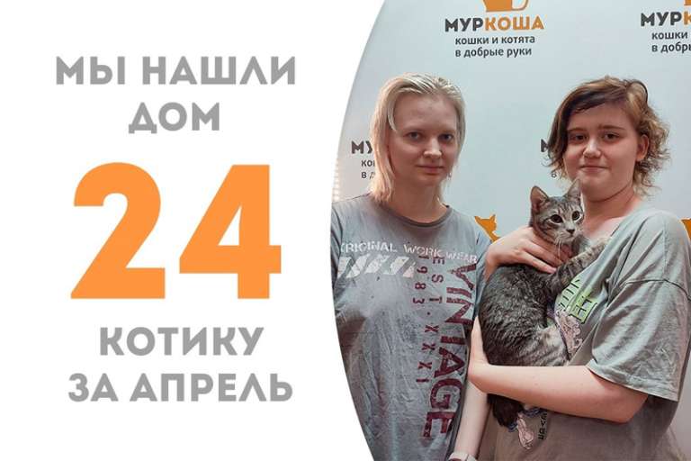 Спустя 2 месяца милейший Тади отправляется жить к нашему выпускнику Рэббиту!