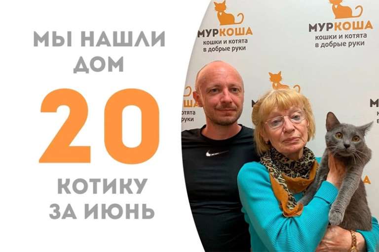 Тайкоко сумел меньше чем за месяц стать домашним!