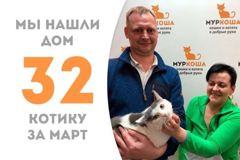 Милейший Василёк расцвел в руках новой семьи!