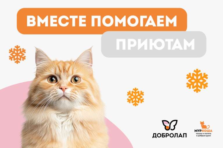 Благотворительная акция «Добролап»