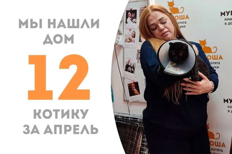 Йосеф помахал нам лапкой спустя три месяца в приюте!
