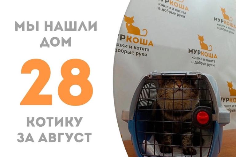 Чудесный Алистер нашёл дом!