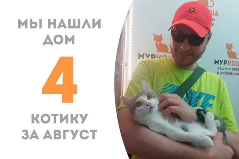 Сладкий котёнок Анемон пробыл у нас ровно два месяца и теперь уезжает домой!