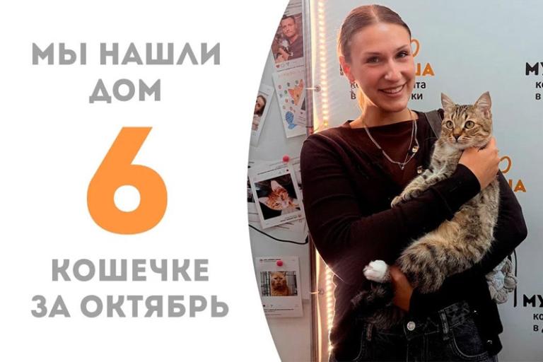 Сладкая Артемизия нашла дом!