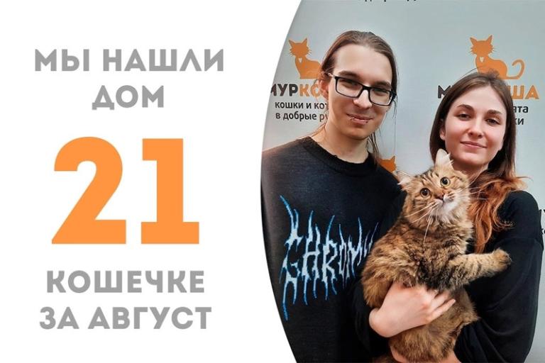Расписная и яркая кошечка Брионни нашла дом!